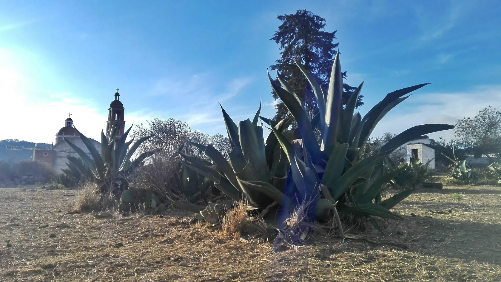 MAGUEYES F BEG (1)